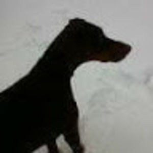 Meet your Posher, Jamie